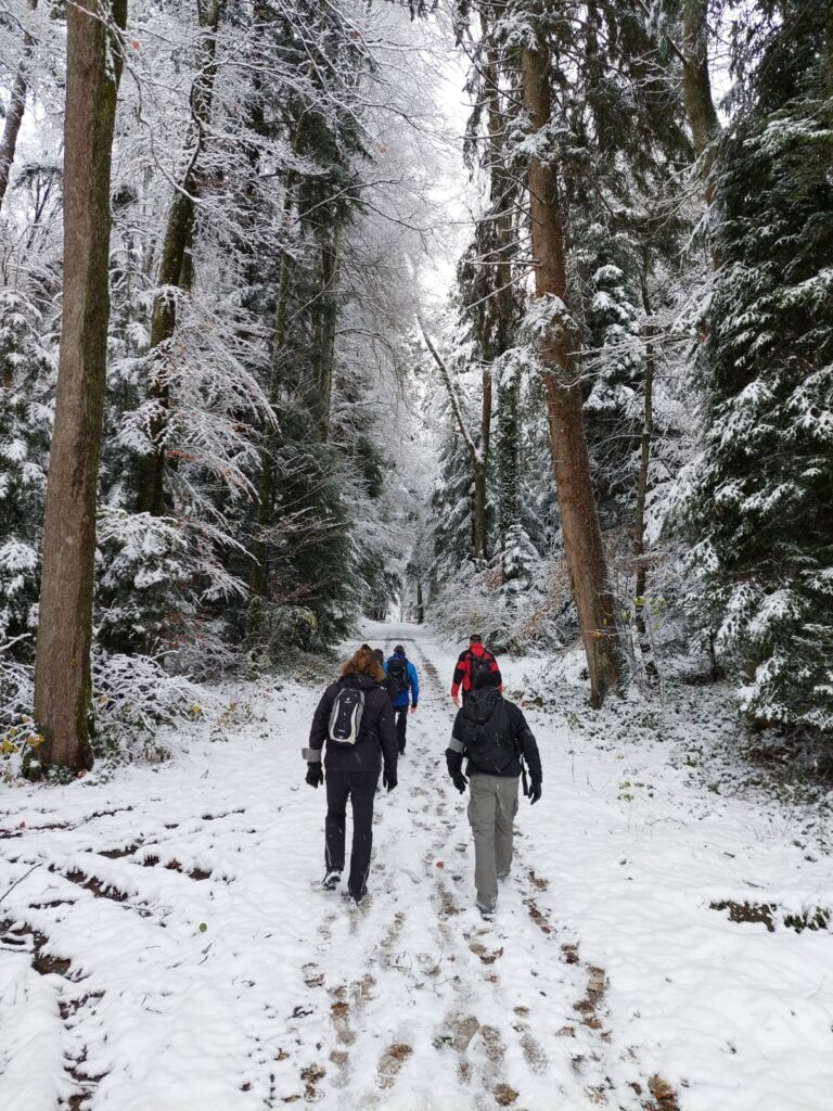 Verschneite Landschaft beim Berner Distanzmarsch - Teilnahme der IPA-Marschgruppe Offenburg