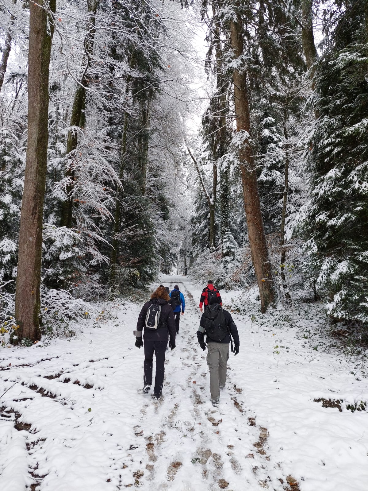 Verschneite Landschaft beim Berner Distanzmarsch - Teilnahme der IPA-Marschgruppe Offenburg