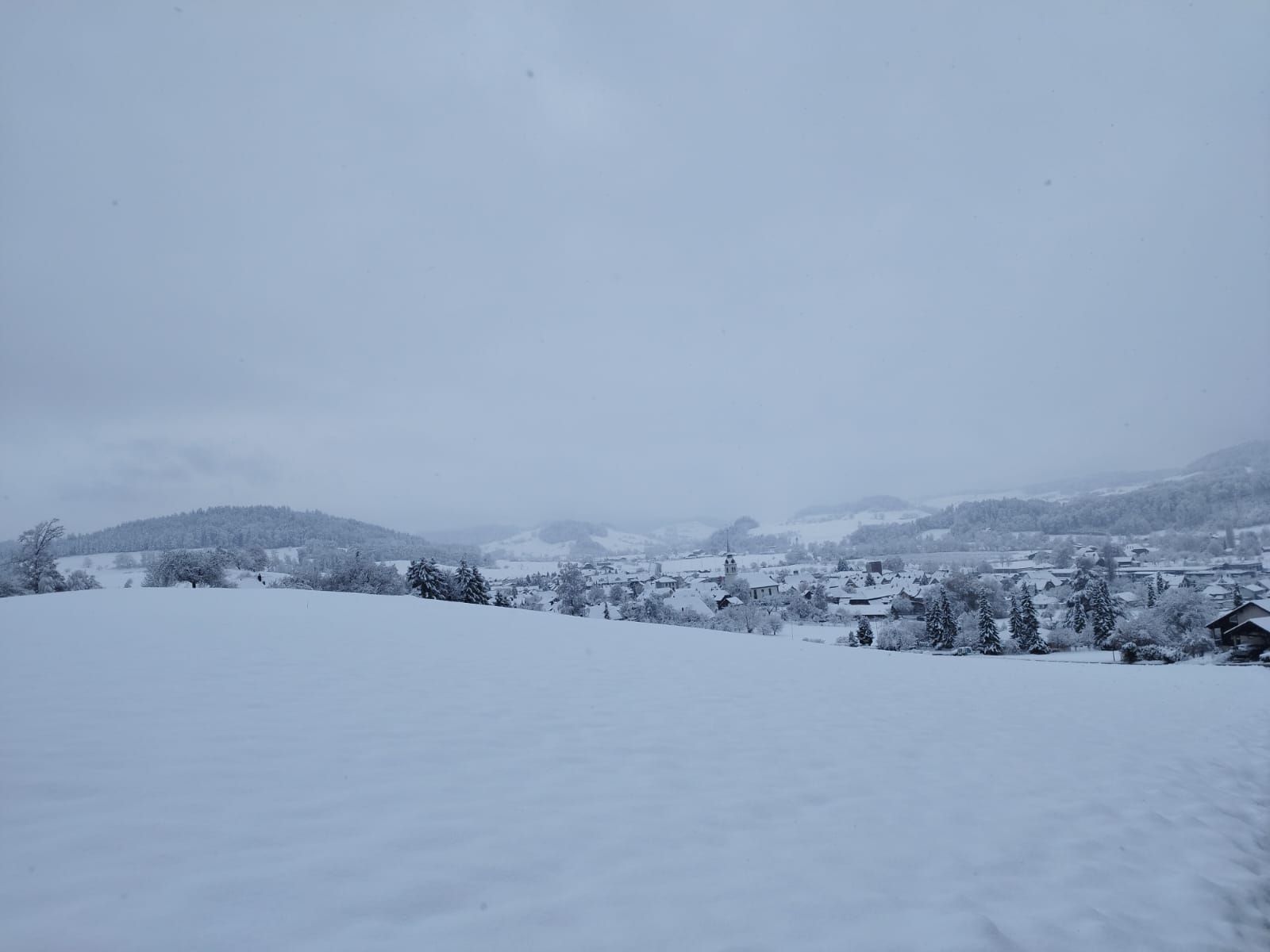 Verschneite Landschaft beim Berner Distanzmarsch - Teilnahme der IPA-Marschgruppe Offenburg