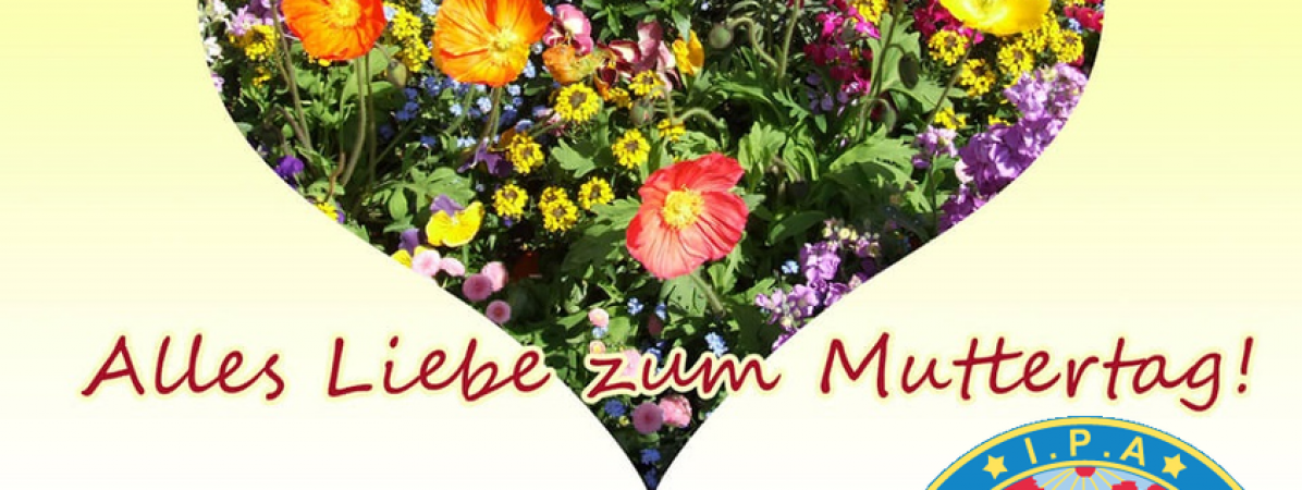 183991538_4526592287370806_6444796621190392594_n