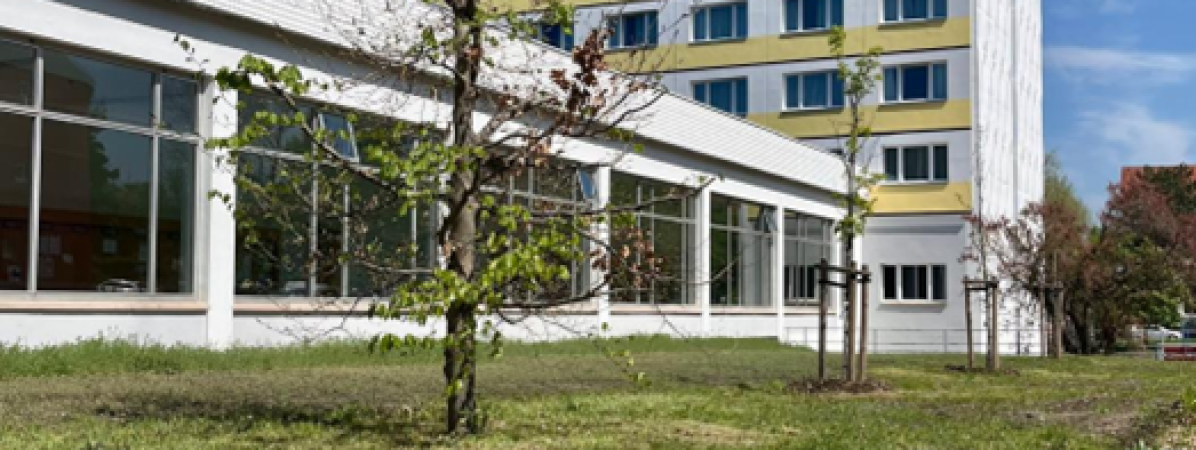 Bild1