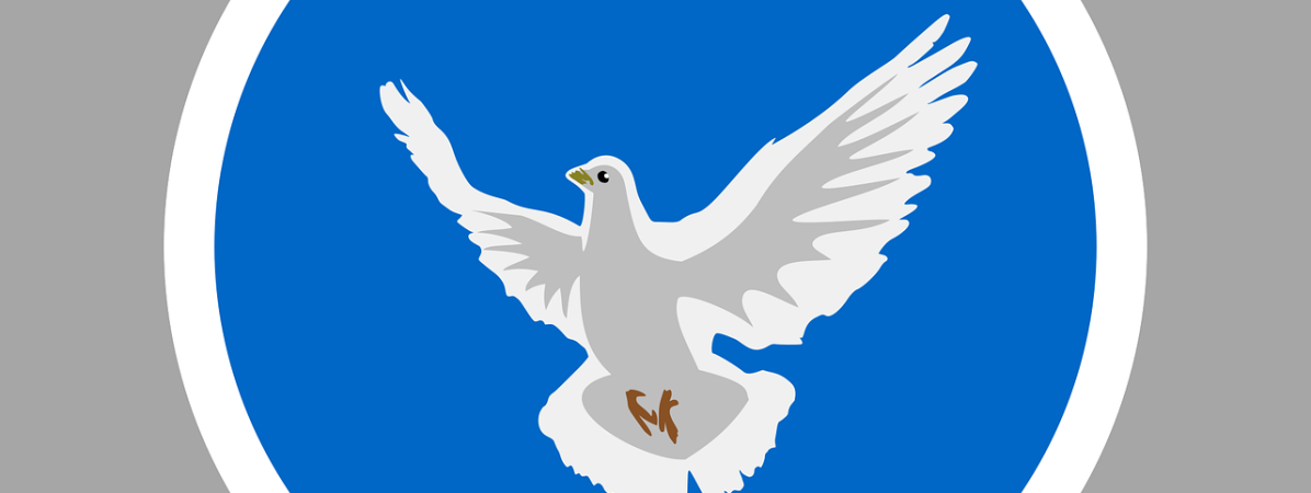 dove-of-peace-g03ef0982a_1280