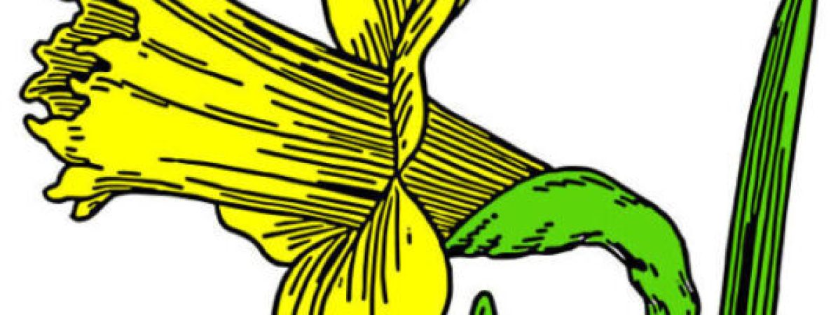 wilde-osterglocke-22330